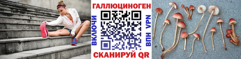 Псилоцибиновые грибы мицелий  Сасово 