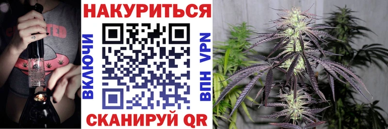 Бошки Шишки VHQ  darknet как зайти  Сасово 